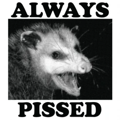 Wicked Clothes 'Always Pissed' Shirt