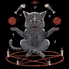 Wicked Clothes 'Devious Cat' Shirt