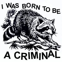 Wicked Clothes New 'Born Criminal' Shirt